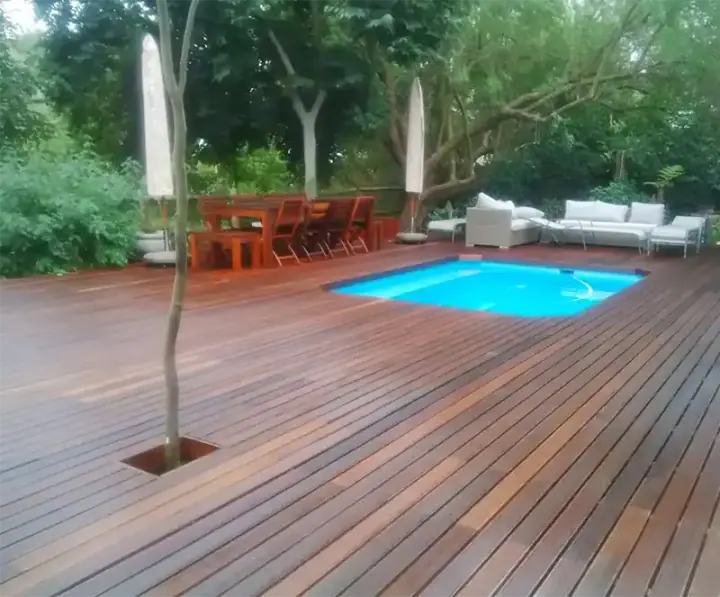 Timber pool deck with a tree growing through the boards