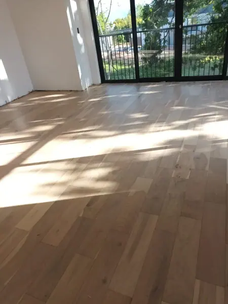 Sunlight falling across timber flooring near glass doors
