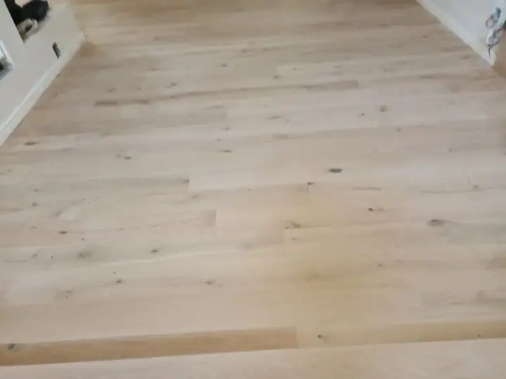 Pale timber flooring with natural grain visible